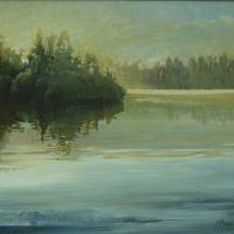 Sumuinen jarvi 2007